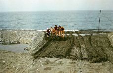 sized_037.JPG